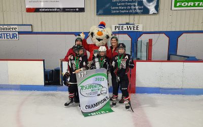 Albatros M11B – Champions provincial